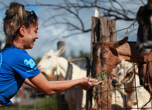 Celebrating Our Outstanding Team: The Heart of Surfing Goat Dairy