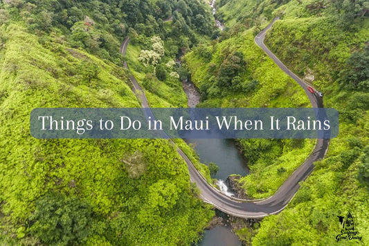 Things to Do in Maui When It Rains