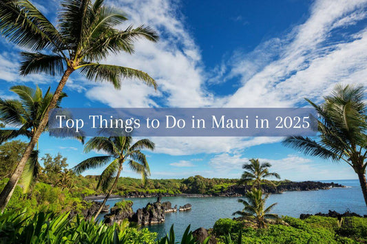Top Things to Do in Maui in 2025