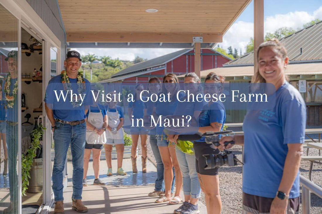 Why Visit a Goat Cheese Farm in Maui?
