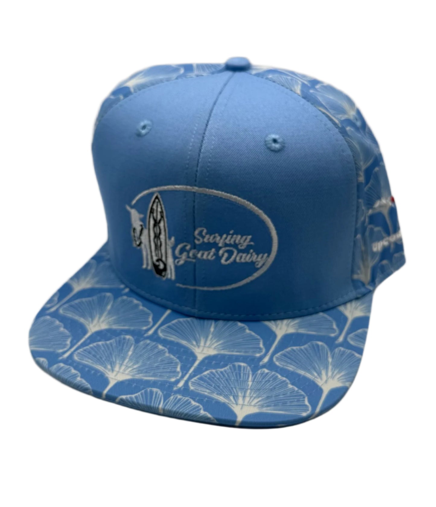 Hats- DP