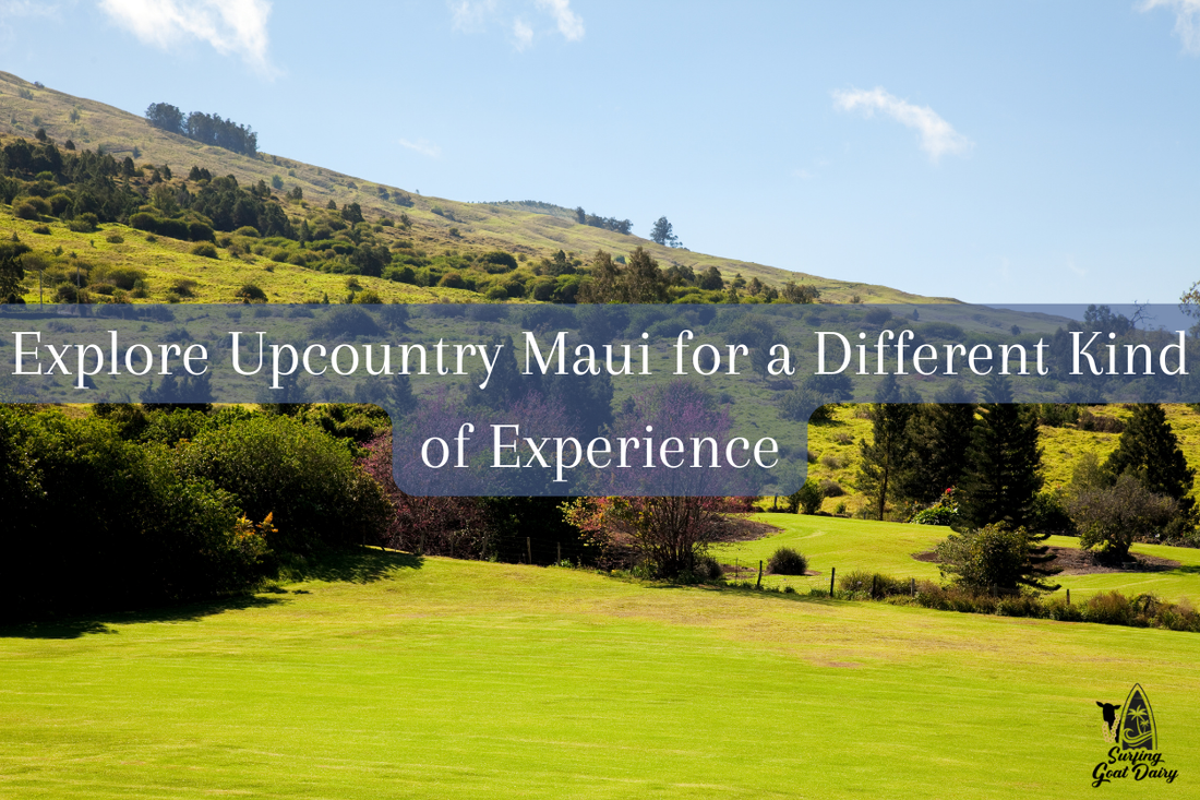 Unique Things to Do in Maui Most Tourists Miss