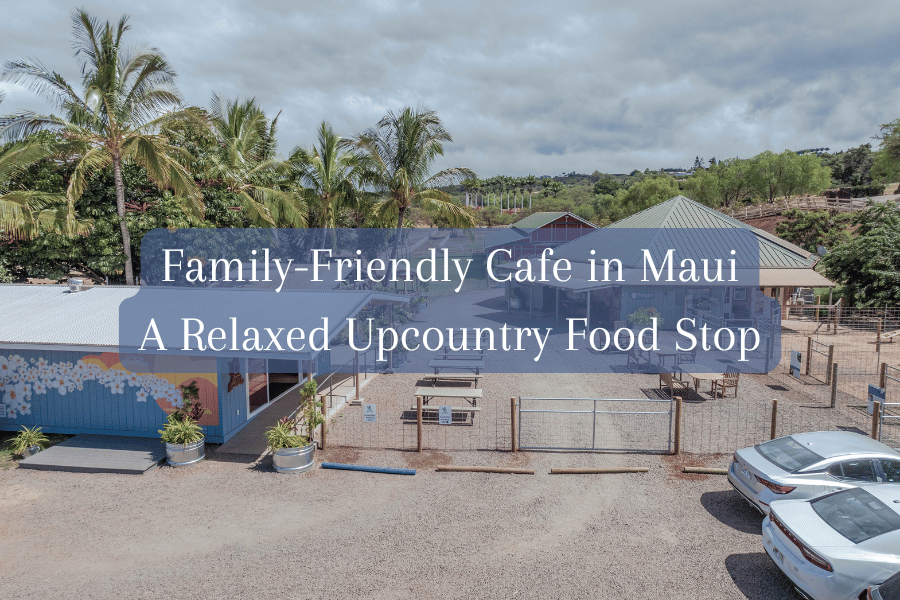 Family-Friendly Cafe in Maui: A Relaxed Food Stop in Upcountry Maui