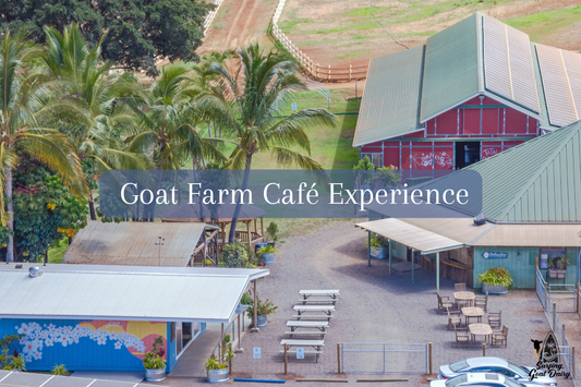 Looking for an Animal Café in Maui? Try a Goat Farm Café Experience