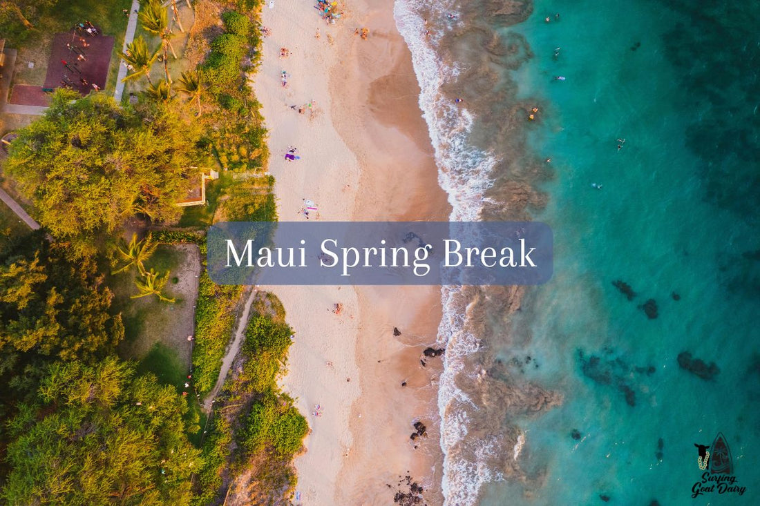 Maui Spring Break: Weather and Things to Do in Spring