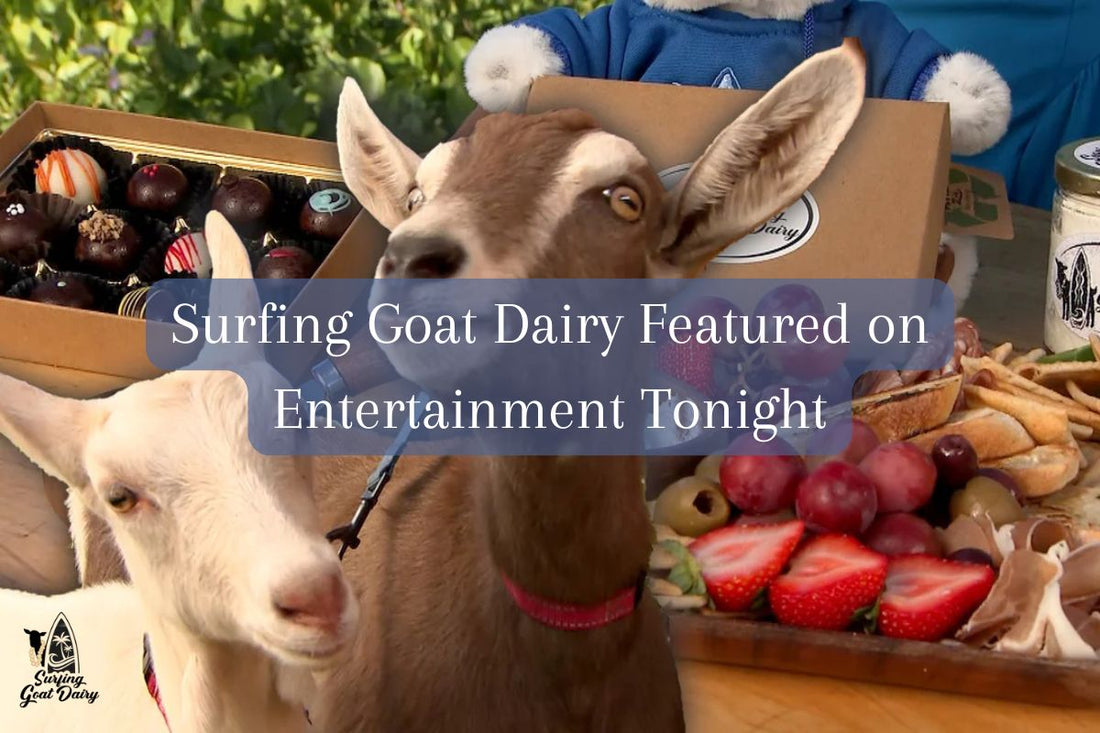 Surfing Goat Dairy Featured on Entertainment Tonight