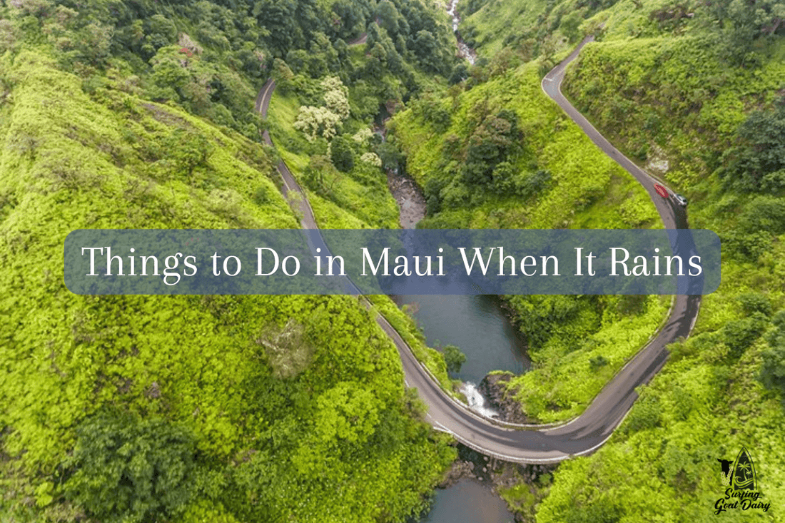 Things to Do in Maui When It Rains