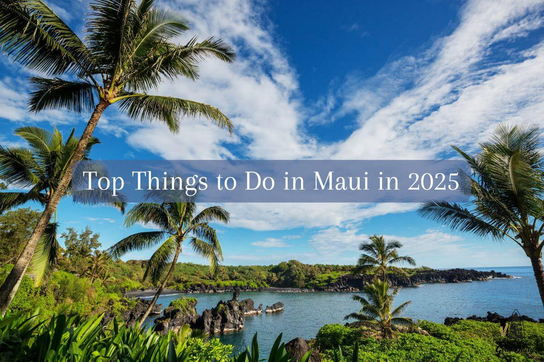 Top Things to Do in Maui in 2025