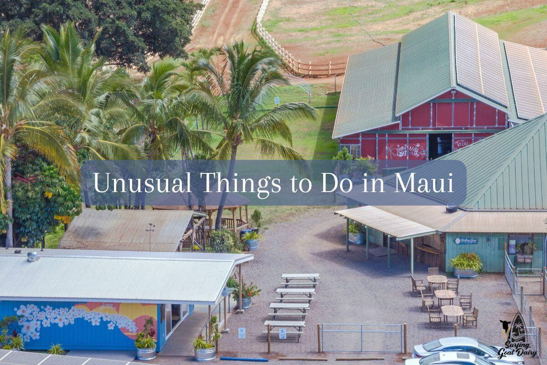 Unusual Things to Do in Maui: Discover Hidden Gems and Adventures