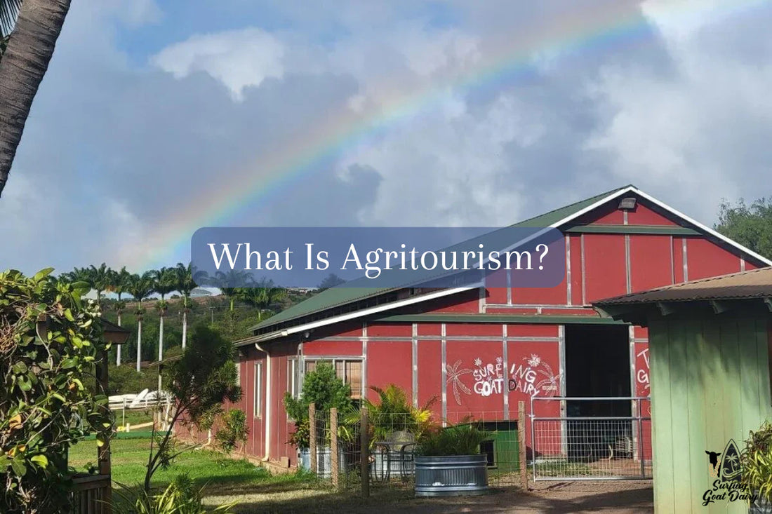 What Is Agritourism? Experience It Firsthand at Surfing Goat Dairy in Maui