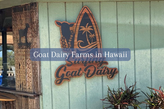 Goat Dairy Farms in Hawaii: What Makes Surfing Goat Dairy Unique?