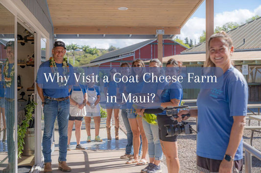 Why Visit a Goat Cheese Farm in Maui?