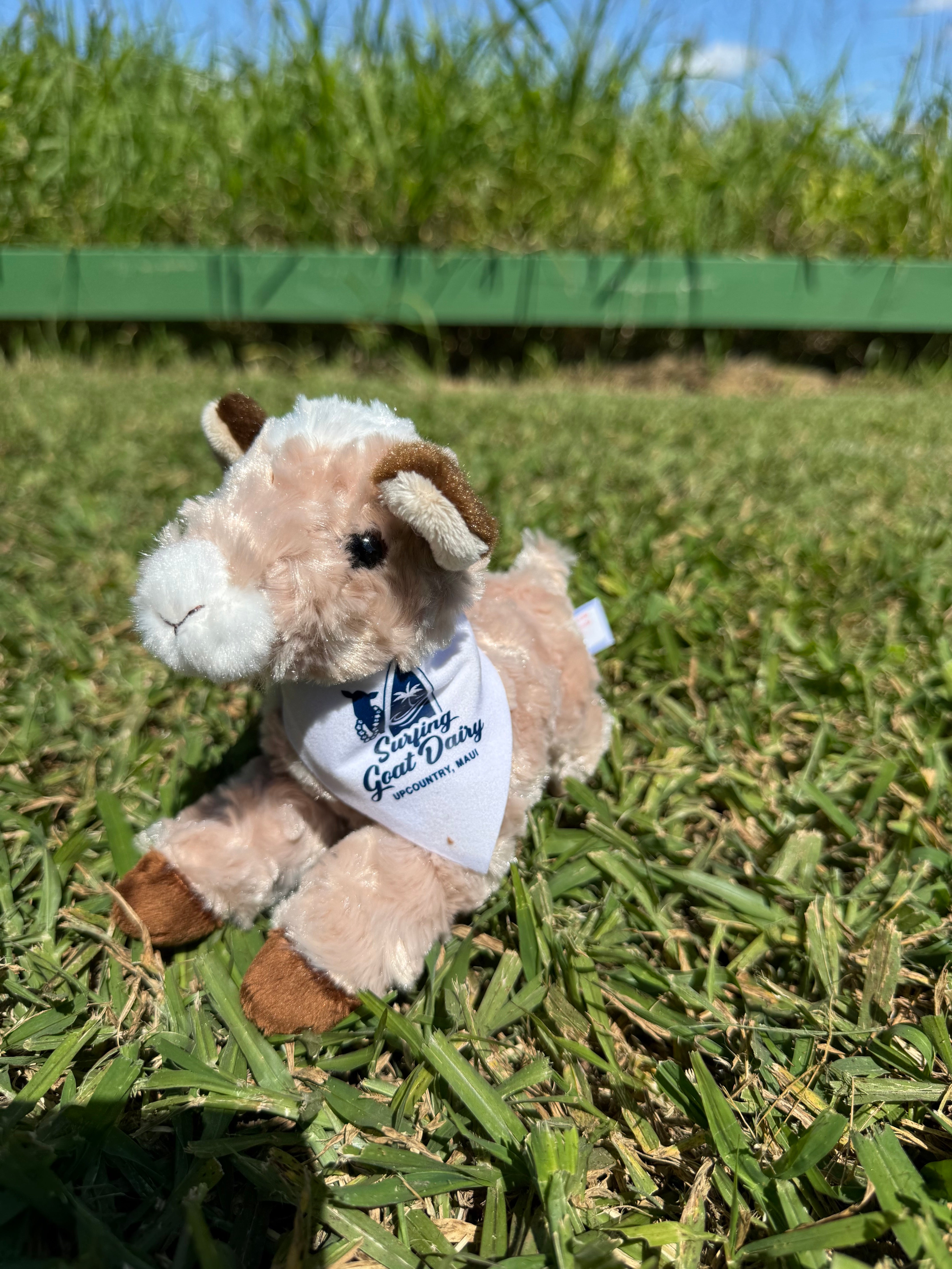 Small Stuffed Goats | Surfing Goat Dairy Maui