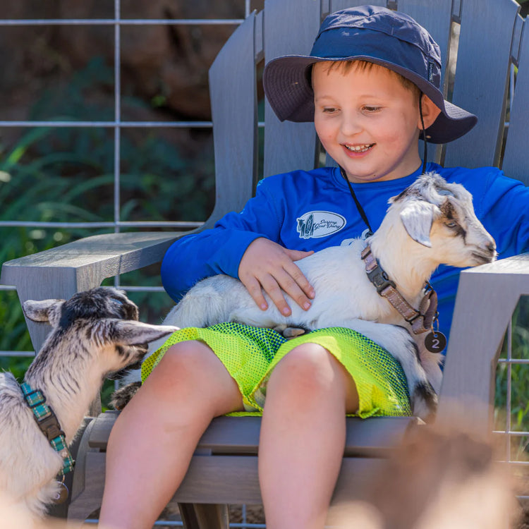 Things to Do in Maui with Kids – Unforgettable Family-Friendly Adventures I Loved 4 Surfing Goat Dairy