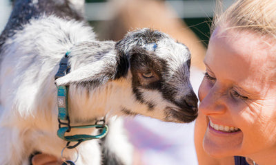 The 18 BEST Maui Farm Tours You Don’t Want to Miss