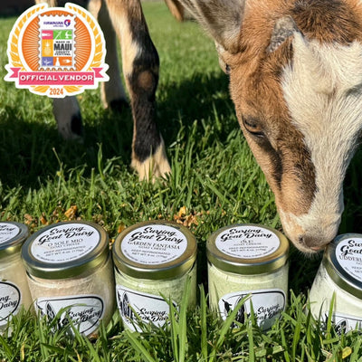 The Surfing Goat Dairy Farm Gets Recognized for Award-Winning Goat Cheese