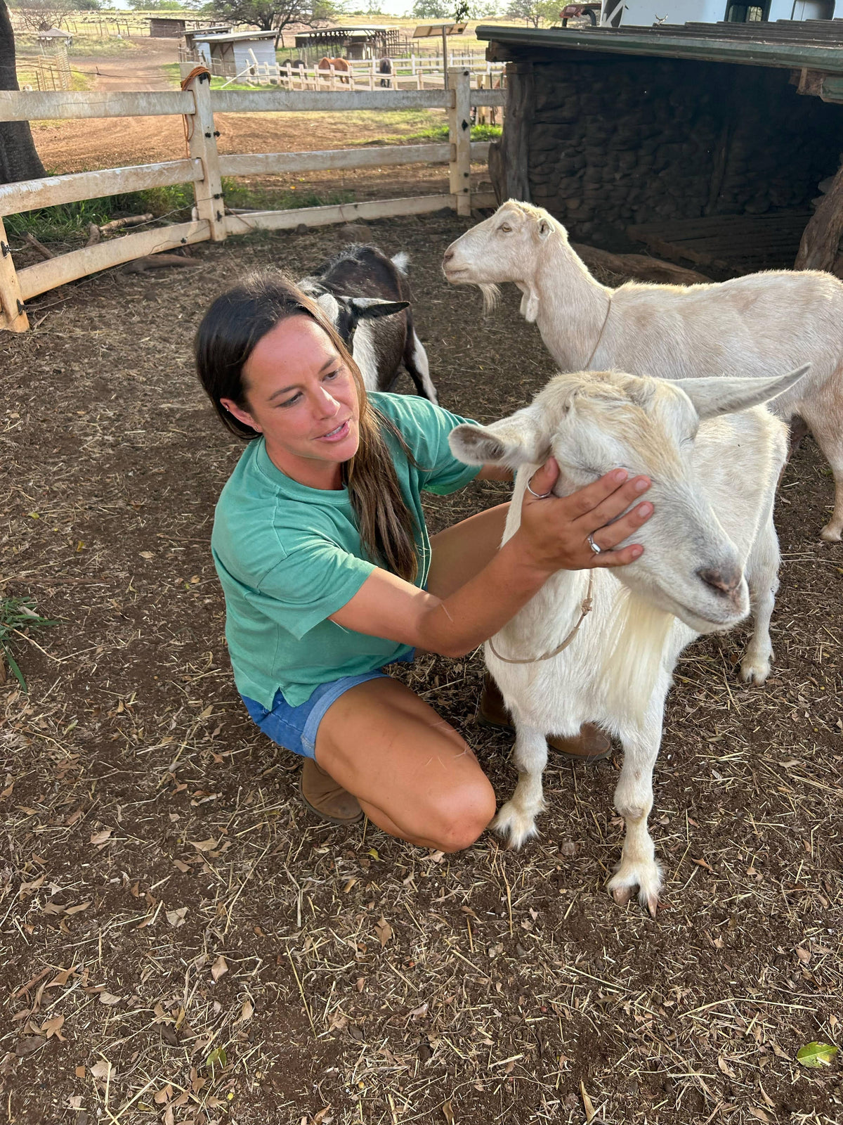 Golden Girl Experience: An Exclusive Goat Interaction Tour – Surfing ...